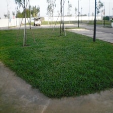 Picture35