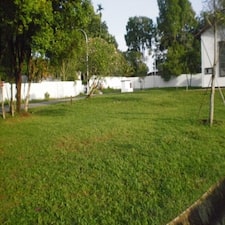 Picture36